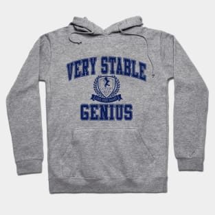 Very Stable Genius Hoodie